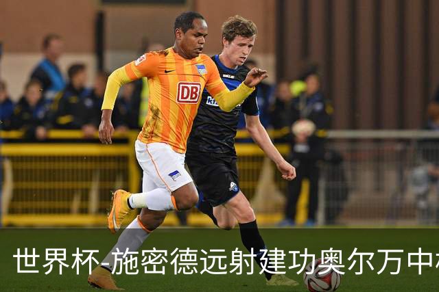 世界杯-施密德远射建功奥尔万中框 半场奥地利1-0约旦